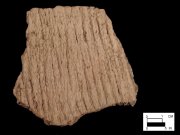 Coulbourn cord-marked rim sherd from Wolfe Neck, site 7S-D-10/3-Courtesy of the Delaware State Museums.